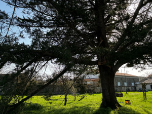 Photo de galerie - Avant 