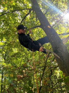 Photo de galerie - Technique en hauteur pour élagage d'arbre. 