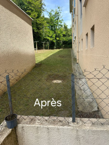 Photo de galerie - Après débroussailleuse