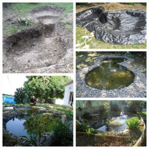 Photo de galerie - Paysagiste - Aménagement du jardin