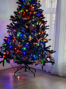 Photo de galerie - 
je peut vous aider à faire des courses. ou vous faires sortir pour une balade ....