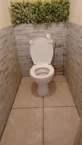 Photo de galerie - Pose wc, pose carrelage 