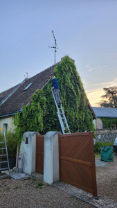 Photo de galerie - Découpage de lierre autour de la toiture 