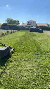 Photo de galerie - Tonte de pelouse - Débroussaillage