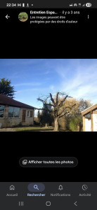 Photo de galerie - Elagage de arbre 