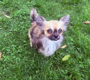 Photo de galerie - NINO