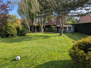 Photo de galerie - Tonte avec évacuation de l'herbe de tonte