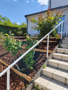 Photo de galerie - Paysagiste - Aménagement du jardin
