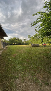 Photo de galerie - Tonte de pelouse 