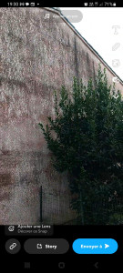 Photo de galerie - Couverture - Toiture