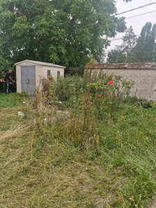 Photo de galerie - Tonte de pelouse - Débroussaillage