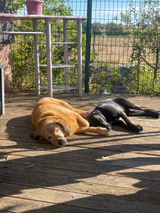 Photo de galerie - Hoppeur & Zouma