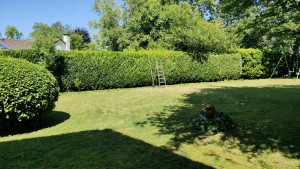 Photo de galerie - Jardinier