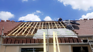 Photo de galerie - Charpente