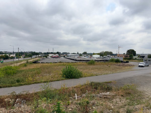 Photo de galerie - Débroussaillage 