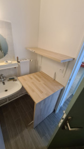 Photo de galerie - Création d'un aménagement dans une sdb