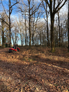Photo de galerie - Chantier en cour remise au propre palombiere