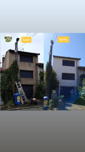 Photo de galerie - Avant après, peinture.