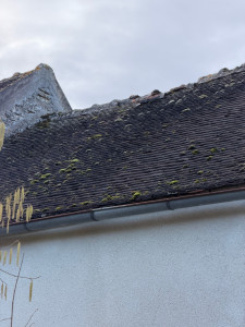 Photo de galerie - Couverture - Toiture