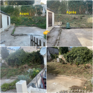 Photo de galerie - Débroussailler et enlever les mauvaises herbes client, satisfait du travail