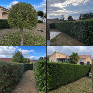 Photo de galerie - Jardin / Espace vert