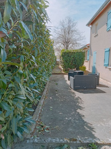 Photo de galerie - Taille de haies 