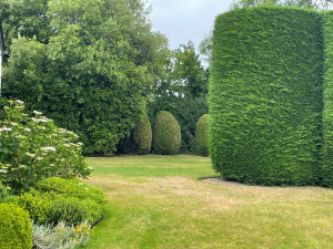Photo de galerie - Tonte, taille et bordures