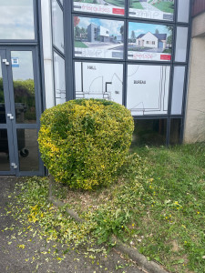 Photo de galerie - Petite taille 