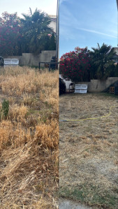 Photo de galerie - Paysagiste - Aménagement du jardin