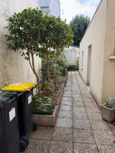 Photo de galerie - Entretien d'une cour intérieure, désherbage de l'allée et taille d'arbustes à Vannes