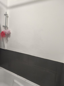 Photo de galerie - Rénovation mur