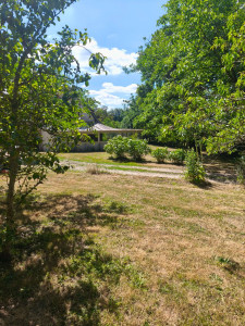 Photo de galerie - Tonte de pelouse - Débroussaillage