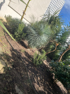 Photo de galerie - Paysagiste - Aménagement du jardin