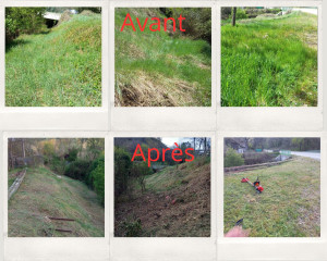 Photo de galerie - Cette photo illustre une intervention de débroussaillage.