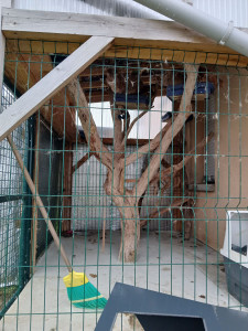 Photo de galerie - Création d'une châtière de 2,50 m sur 4 Avec une tête d'arbre à l'intérieur