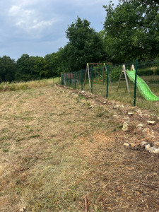 Photo de galerie - Elagage et coupe d'arbres