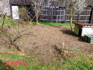 Photo de galerie - Défrichage poulailler.