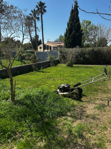 Photo de galerie - Tonte de pelouse