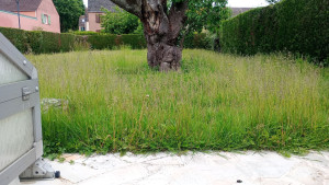 Photo de galerie - Avant 