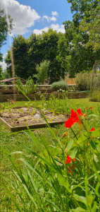 Photo de galerie - Réalisation carré potager et plantation de plantes mellifères 