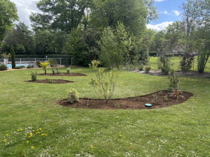 Photo de galerie - Paysagiste - Aménagement du jardin