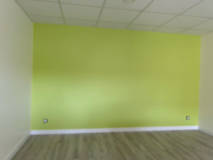 Photo de galerie - Peinture - Tapisserie