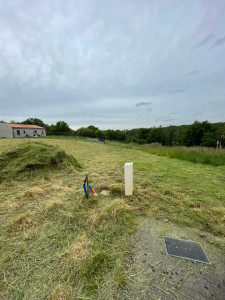 Photo de galerie - Débroussaillage 1000m2 