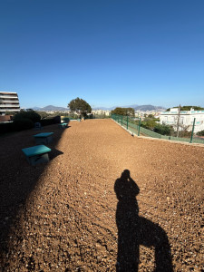 Photo de galerie - Arrosage automatique + semi de gazon 