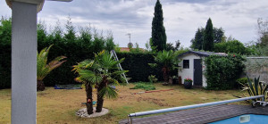 Photo de galerie - Taille d'une haies de cyprès 