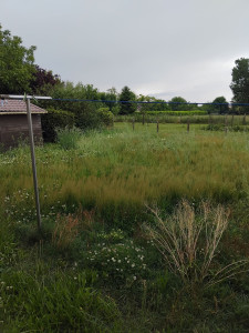 Photo de galerie - Remise en état- Avant 