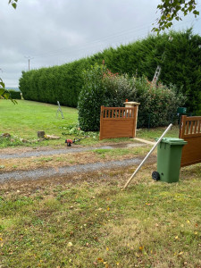 Photo de galerie - Taille de haies et d'arbustes