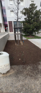 Photo de galerie - Jardinier