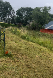 Photo de galerie - Tonte de pelouse - Débroussaillage
