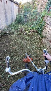Photo de galerie - Tonte de pelouse - Débroussaillage